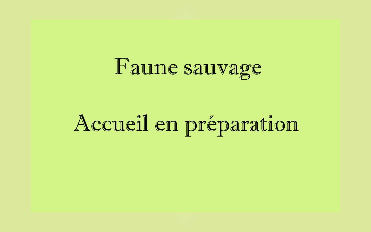FAUNE SAUVAGE
